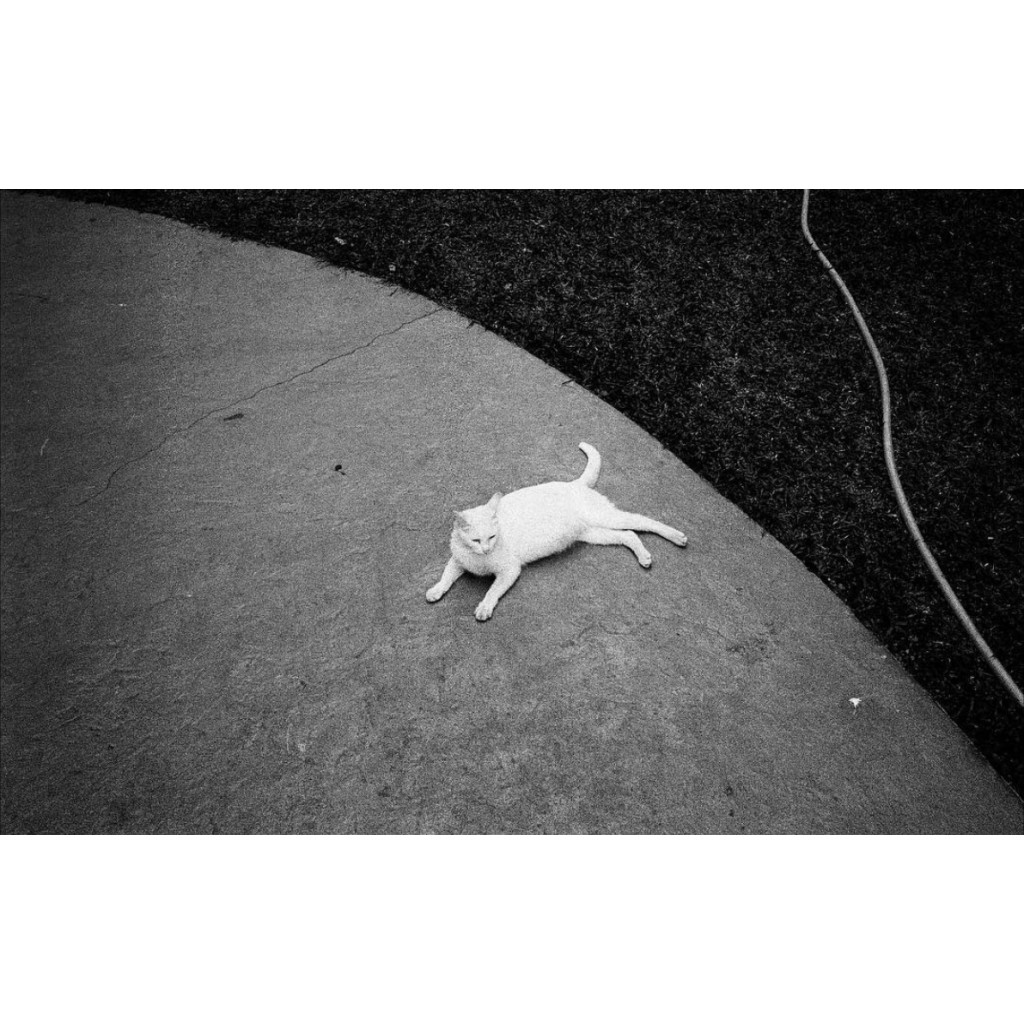 Film trắng đen Ilford HP5