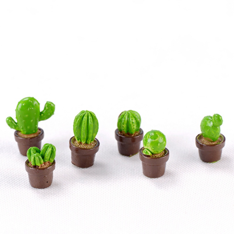 1 Đồ trang trí Cây Xương Rồng Mini Trang Trí Vườn