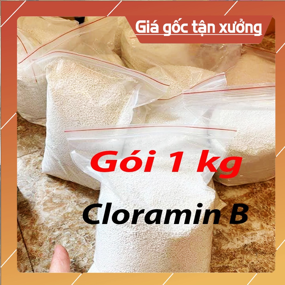 Thuốc Cloramin B Diệt Khuẩn Khử Trùng 1kg Dạng Bột, Dung Dịch Khử Khuẩn Bề Mặt, Nước Lau Nhà Phòng Chống Dịch Bệnh
