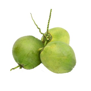 Dừa xiêm bến tre ngọt nước hái tại vườn - muội muội food