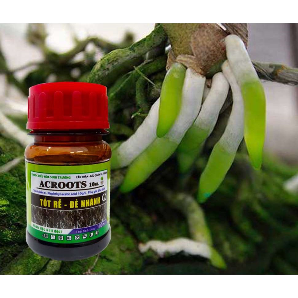 Thuốc Điều hòa sinh trưởng Acroot lọ 100ml
