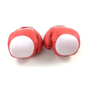 Găng tay Boxing Everlast