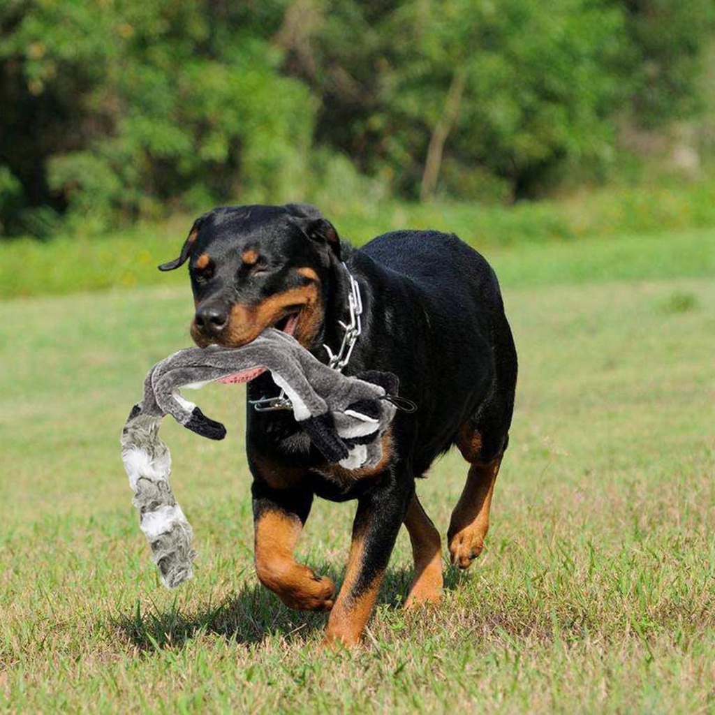 MIQUEL Đồ Chơi Nhồi Bông Cắn Làm Sạch Răng Cho Thú Cưng