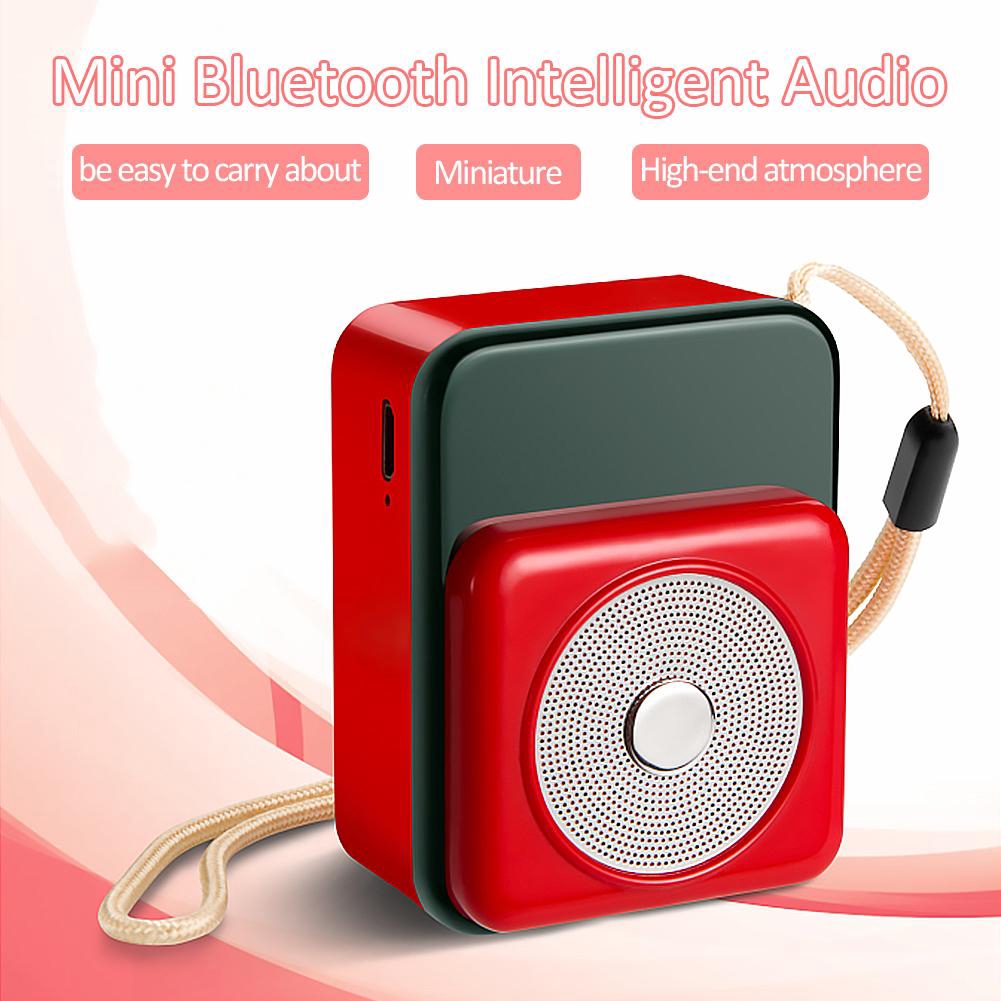 1 Loa Bluetooth 5.0 Thông Minh Ak002