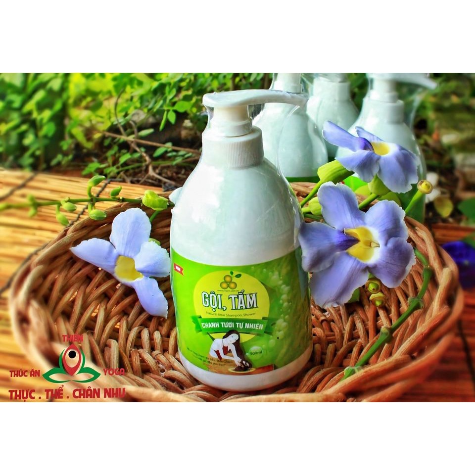 Dầu gội tắm chanh tươi 500ml
