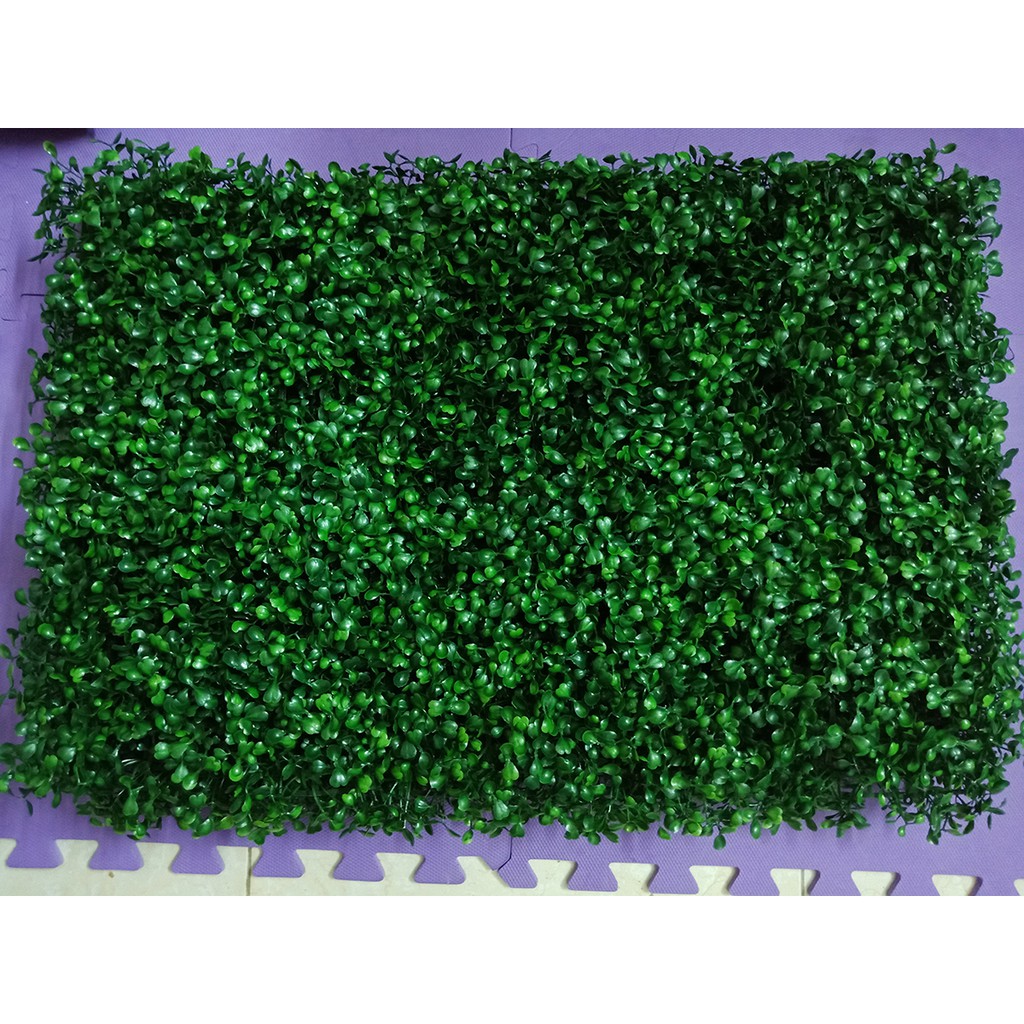 Thảm cỏ xoong nhựa pvc trang trí, thảm cỏ nhân tạo [Loại 1]
