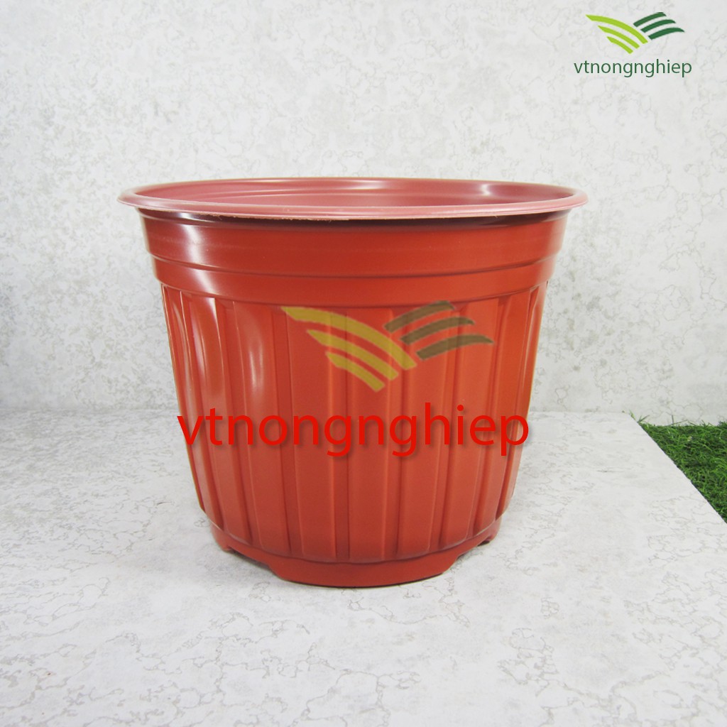 10 Chậu nhựa trồng Hoa CH-26x20 cm