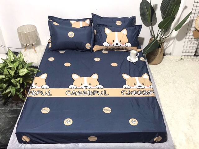 Ga chống thấm cotton 2 in 1 loại đẹp