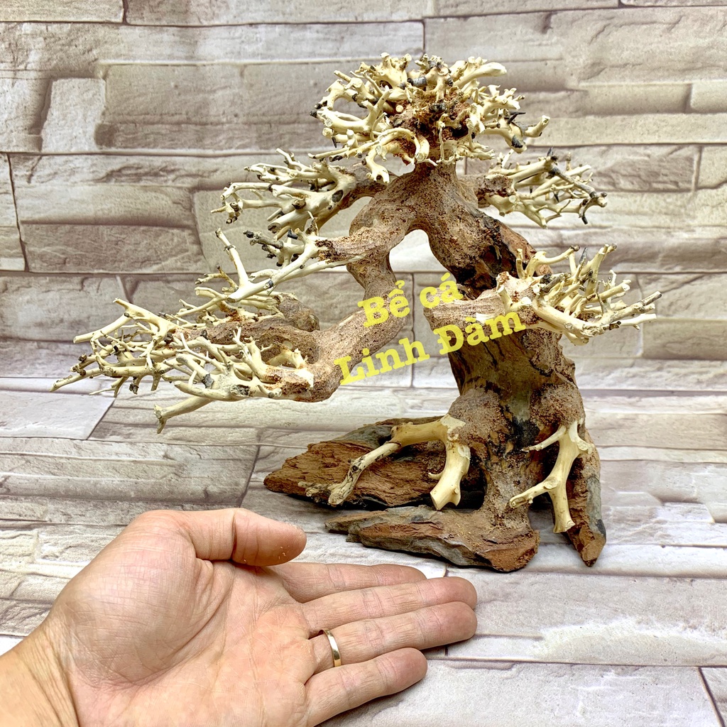 Lũa Bonsai Trang Trí Bể Cá Thủy Sinh, Bể Cá Cảnh