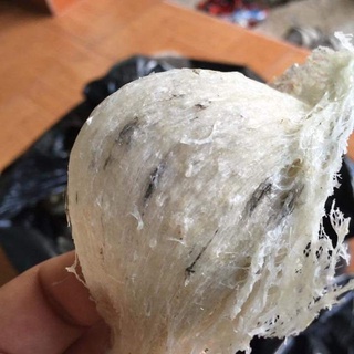 yến sào - tổ yến thô - loại 6gr,7gr,8gr,9gr 10 gr.tổ yến thô nguyên chất 100% (loại ít lông)