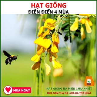 Hạt Giống Điên Điển Thu Hoạch Nhiều Lần 1gram