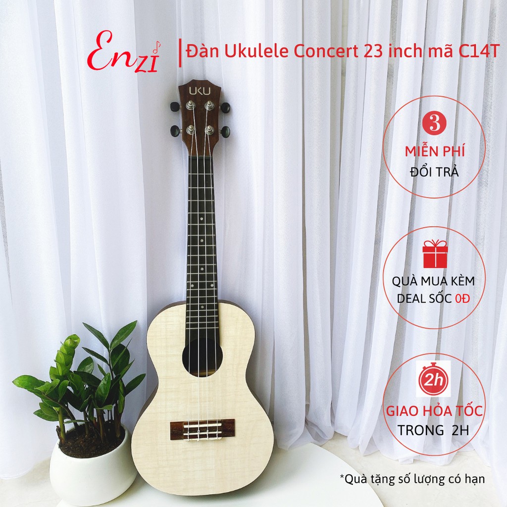 Đàn ukulele concert size 23 mã đàn C14T Enzi màu trắng ngà thiết kế độc đáo, âm thanh vang sáng cho bạn mới