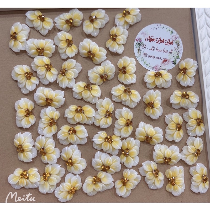 Hoa bột nail
