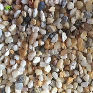 500gr Sỏi Trang Trí Nhiều Màu