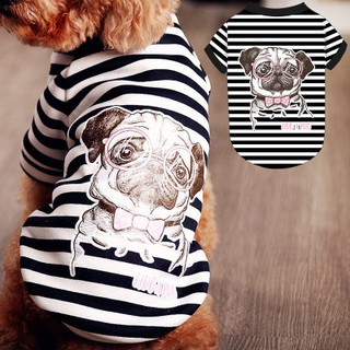 CÁC MẪU ÁO THU ĐÔNG CHO CHÓ MÈO