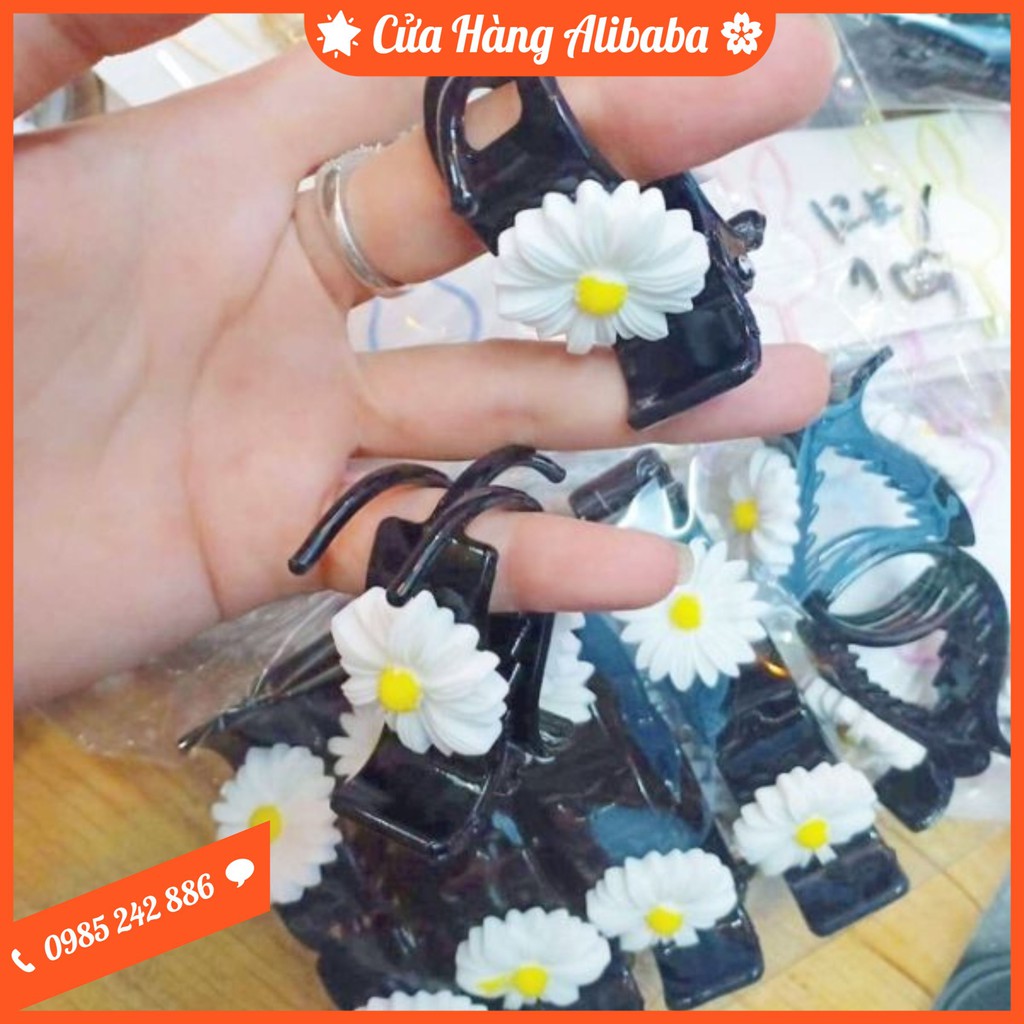Kẹp Càng Cua HOA CÚC, Kẹp Tóc Thời Trang