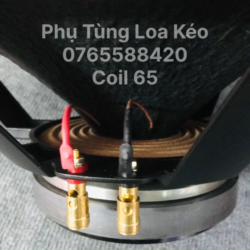 Bass 40cm 1 Cặp Từ 170 Coil 65 Nhập China Công Suất 250w