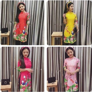 Sỉ 5 áo dài cách tân