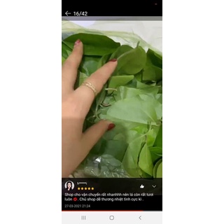 1kg lá sương sâm trơn