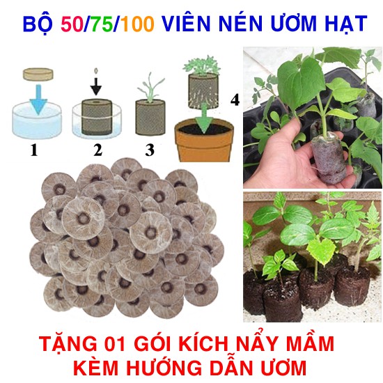 Bộ 50 / 75 / 100 viên nén ươm hạt (Tặng gói Kích mầm hạt giống và hướng dẫn)