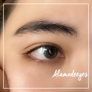Lens xám mặt nước