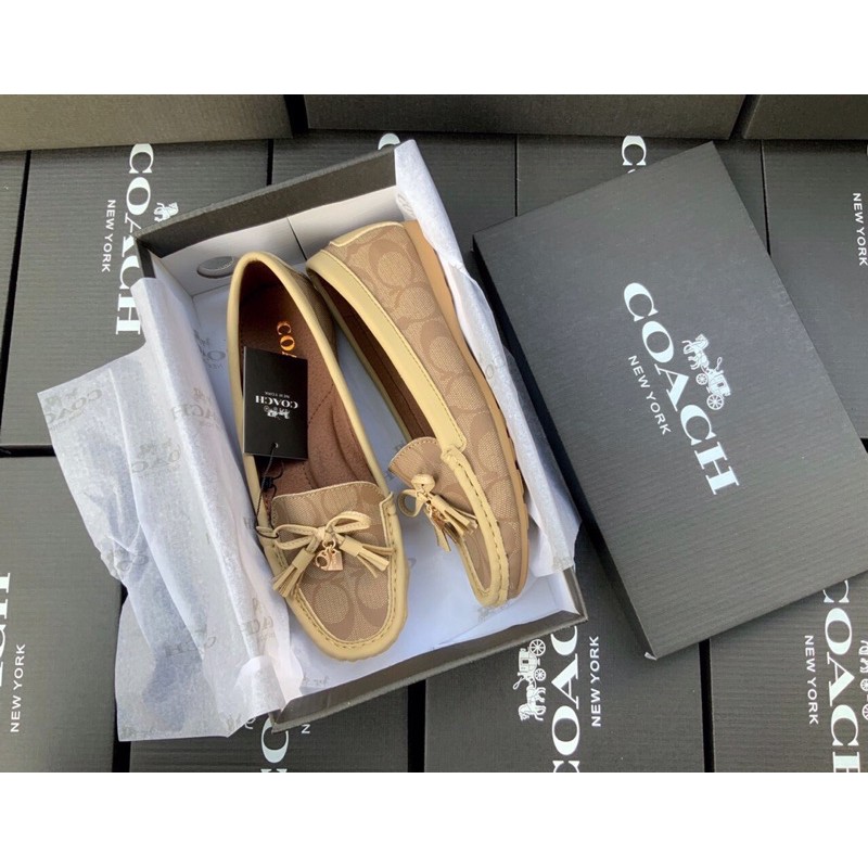 Giày coach mọi