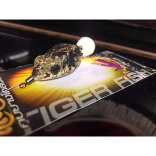 NHÁI HƠI FROG TOON V5