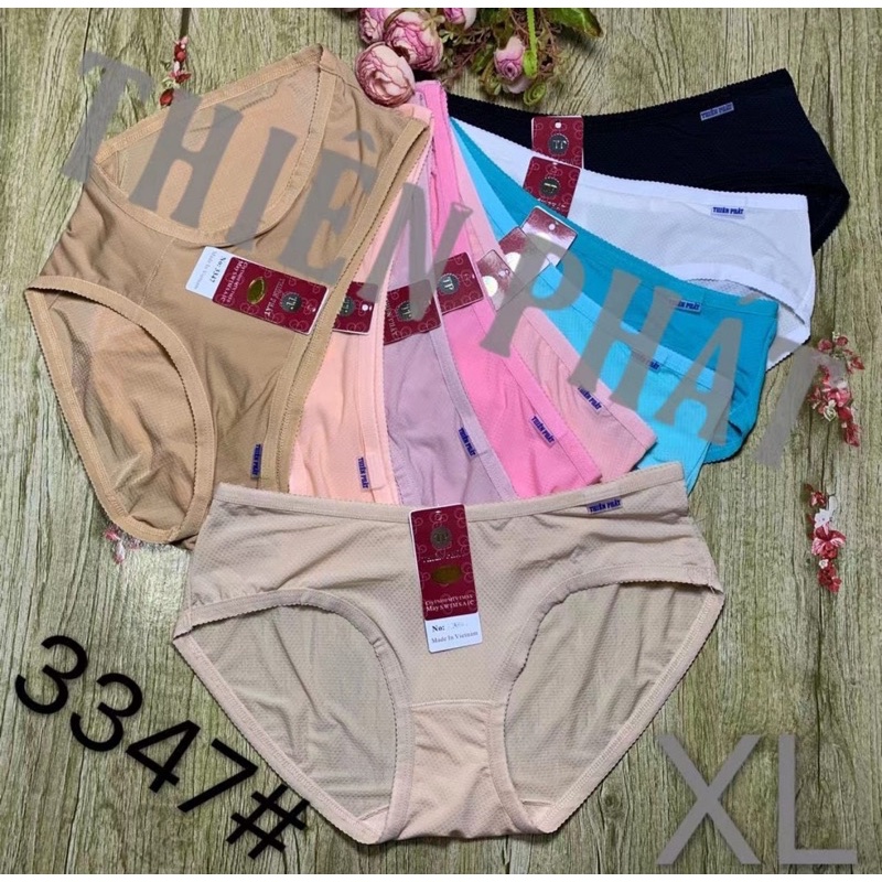 10 Quần lót nữ Thiện Phát (3347)