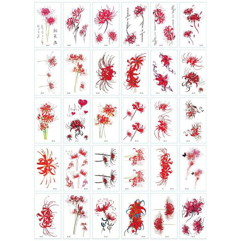 Set 20,30 săm dán hình hoa bỉ ngạn ngẫu nhiên