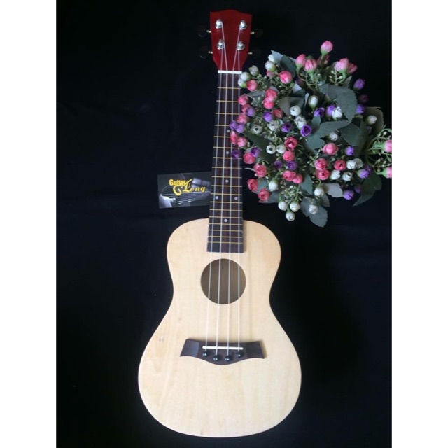 Đàn ukulele concert