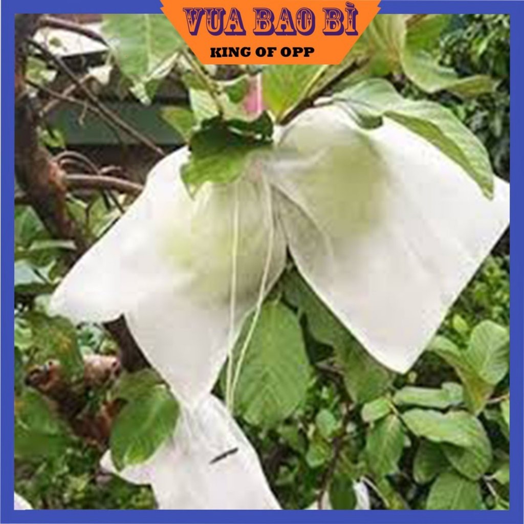 100 Túi 12x14cm Túi Bọc Trái Cây Xoài, Na Nhỏ... To Có Dây Buộc - VUA BAO BÌ