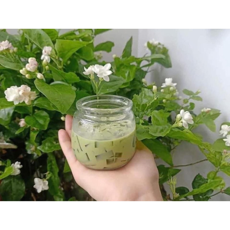 Combo 10 hũ sữa chua béo 200ml