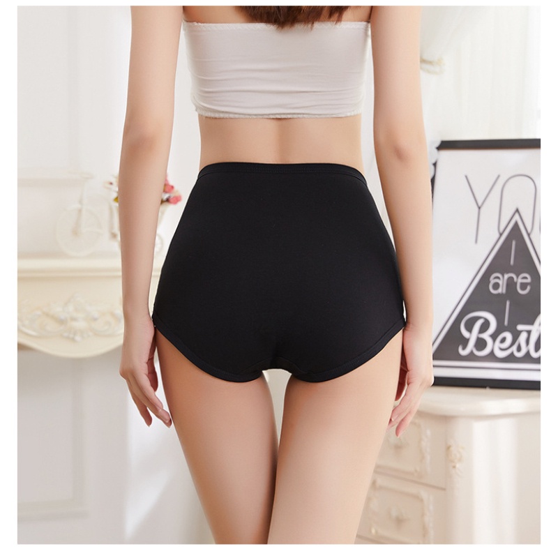 Quần Lót Cotton Lưng Cao Plus Size