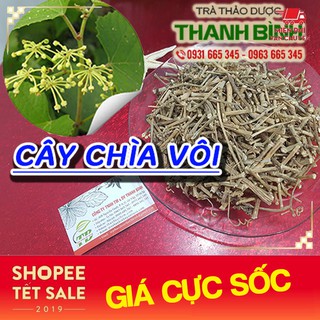 Cây Chìa Vôi Khô - Hàng Chất Lượng