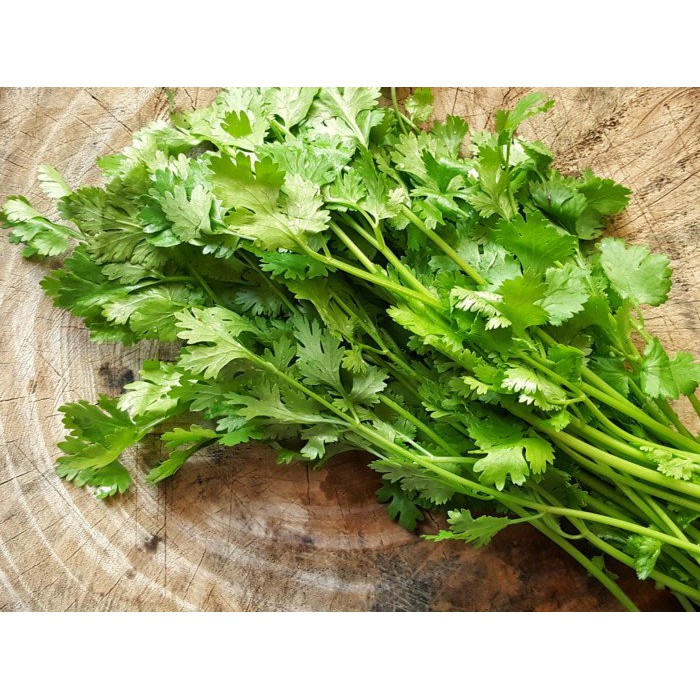 Hạt giống Ngò rí  hạt lớn Pháp gói to 1kg của Phú Nông