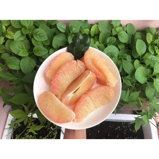 Bưởi da xanh 60k/kg