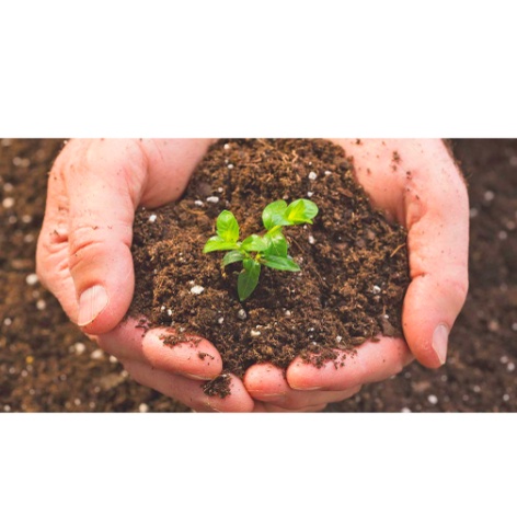 Gói 1kg Phân bón hữu cơ siêu đạm từ cá dạng bột - hàm lượng Amino Acid 45% - Trang Flowers