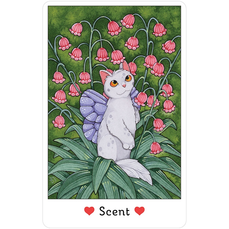 Bộ Bài Affirmations of the Fairy Cats Deck  - Bài Gốc Authentic Chính Hãng 100%