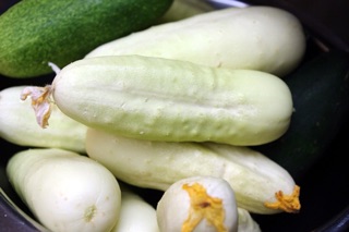 (80-100 hạt) - Hạt giống dưa chuột trắng