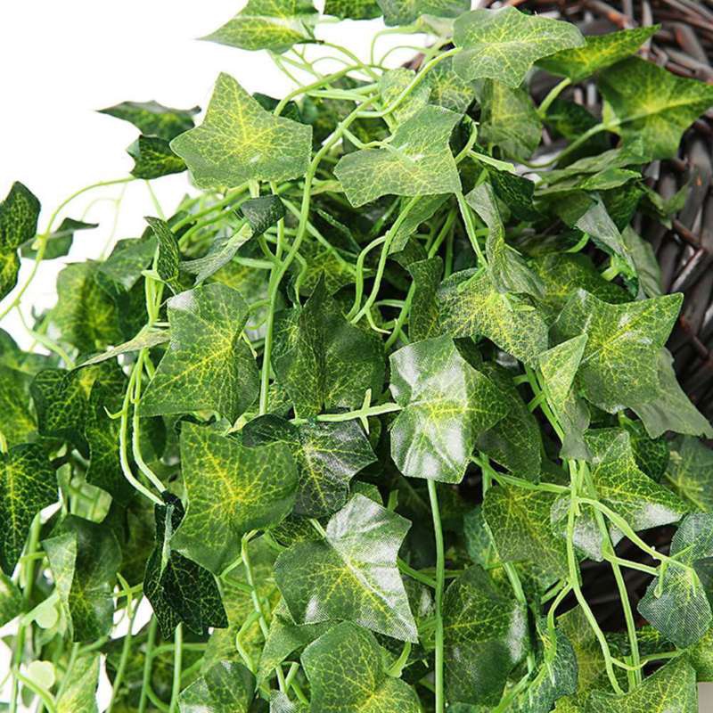 Dây Leo Hoa Thường Xuân Giả Dùng Trang Trí Nhà Cửa / Tiệc Cưới