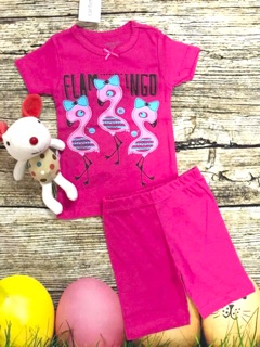 BỘ CARTERS IN HÌNH BÉ GÁI