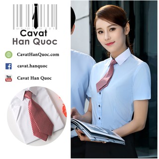 Cà vạt nữ phong cách Hàn Quốc 4 mẫu