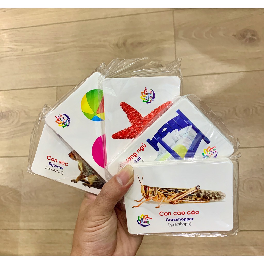 Thẻ học thông minh song ngữ 16 chủ đề-416 thẻ FLASHCARDS TRỰC QUAN