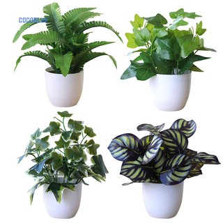 Cây cảnh nhân tạo trang trí văn phòng / bàn làm việc