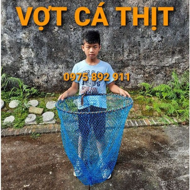 VỢT CÁ THỊT KHI THU HOẠCH , CHUYỂN CÁ LỒNG SANG LỒNG