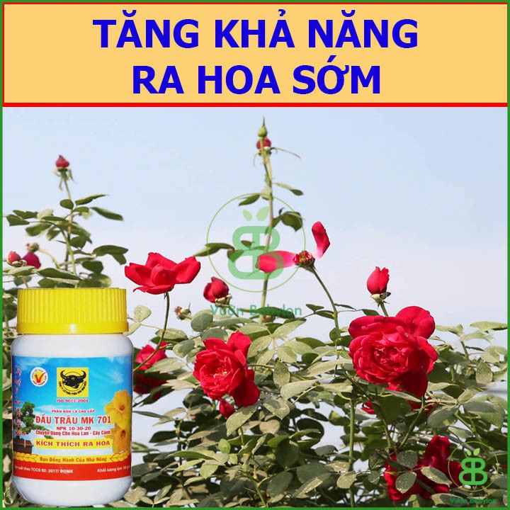 Phân Bón Đầu Trâu 701 Kích Thích Ra Hoa 100Gr