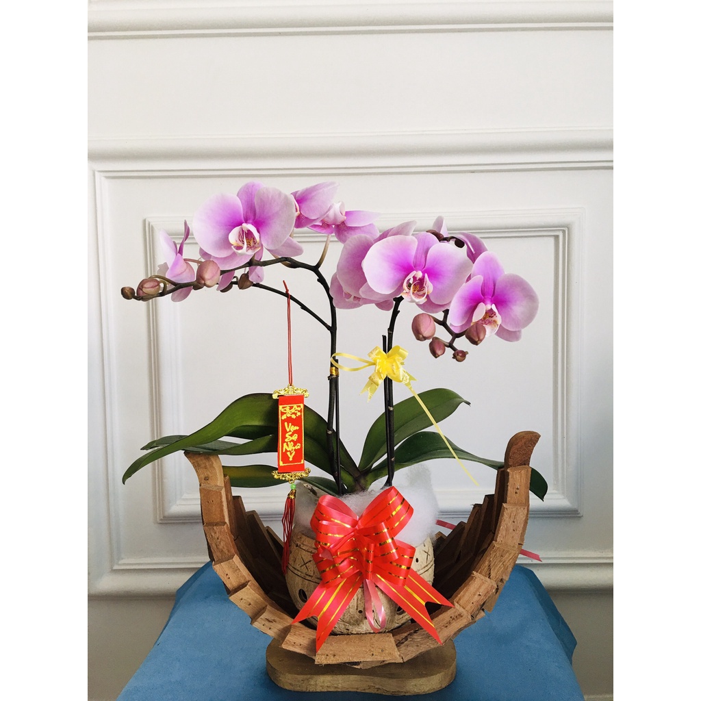 Combo thuyền gỗ kèm gáo dừa khắc hoa văn, để bàn trang trí