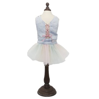 Quần áo cho chó mèo ambaby pet