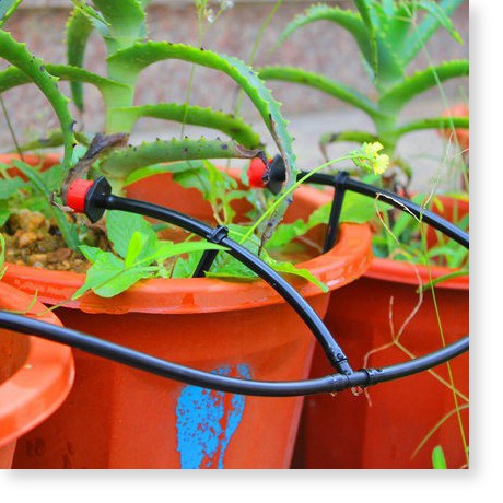 Bộ kit tưới cây, tưới rau 20 đầu phun, độ dài dây 30m