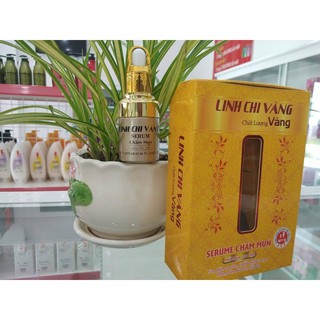 Serum chấm mụn linh chi vàng 30g.